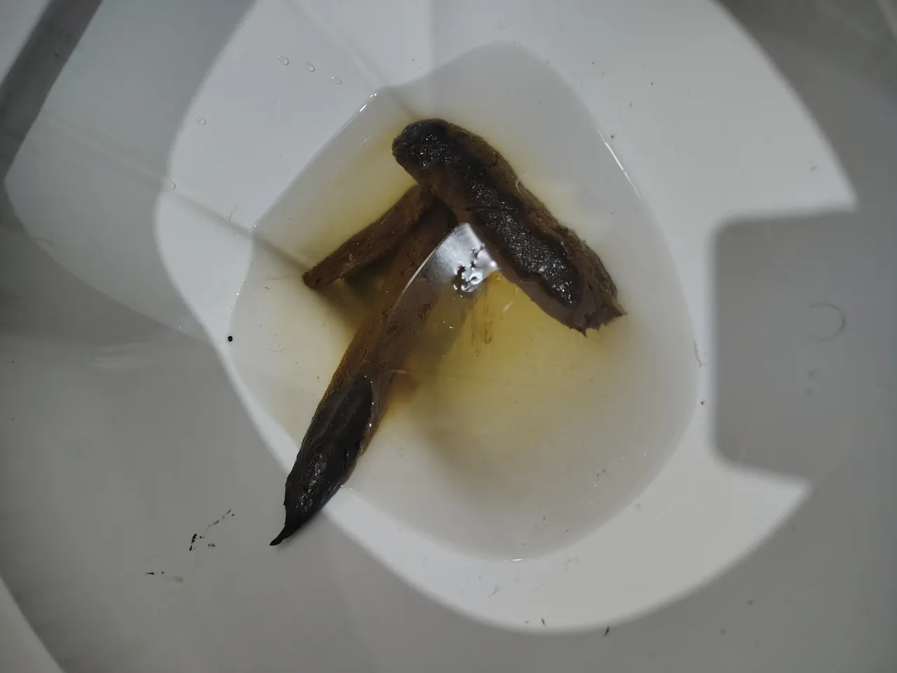Top